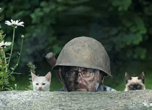 back in the trenches